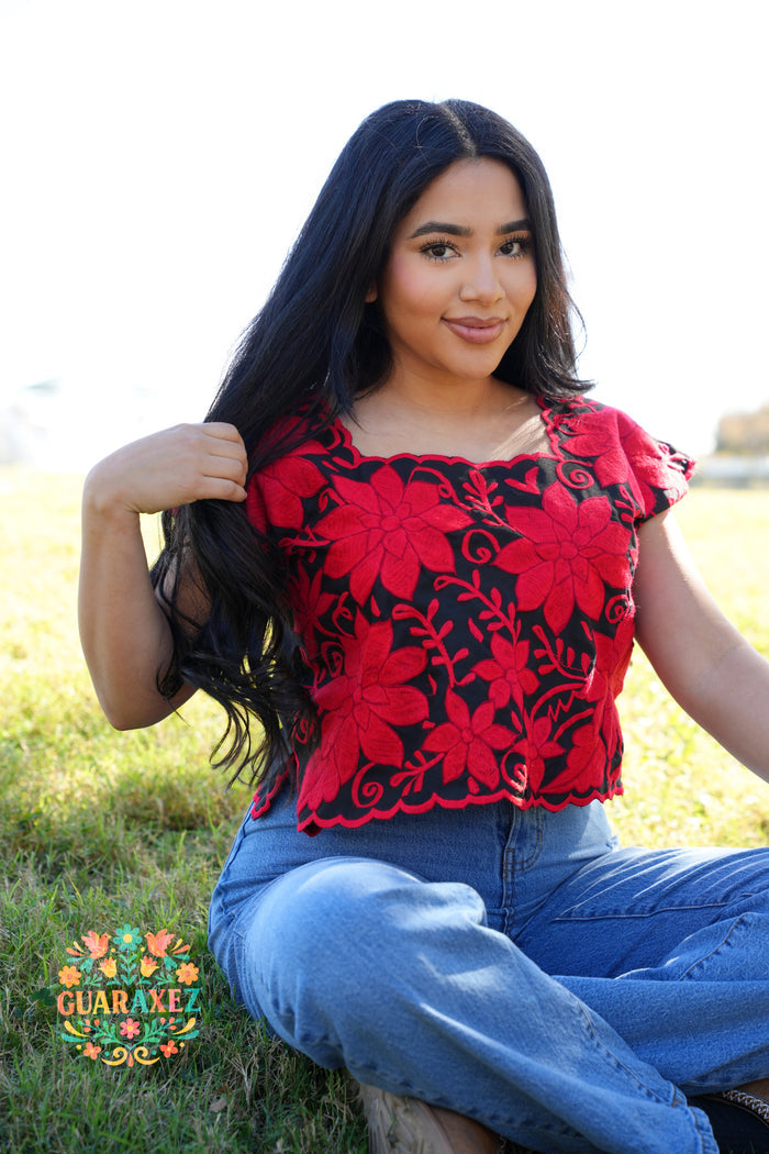 Amada Embroidered Crop Top