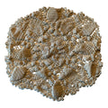 Crochet Doily or Bodice Accent circa 1920s
