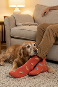FRIDAY SOCK CO. Chaussettes - Old Doggies