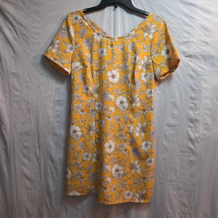 Hollister Dress
