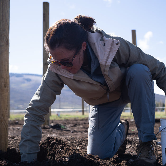 The Grass Valley Pant - Women's