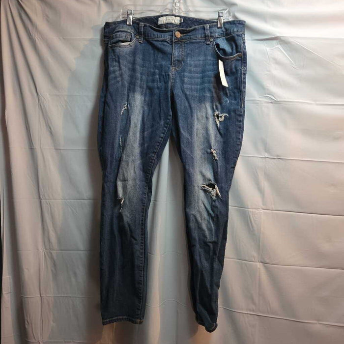 Torrid Jeans