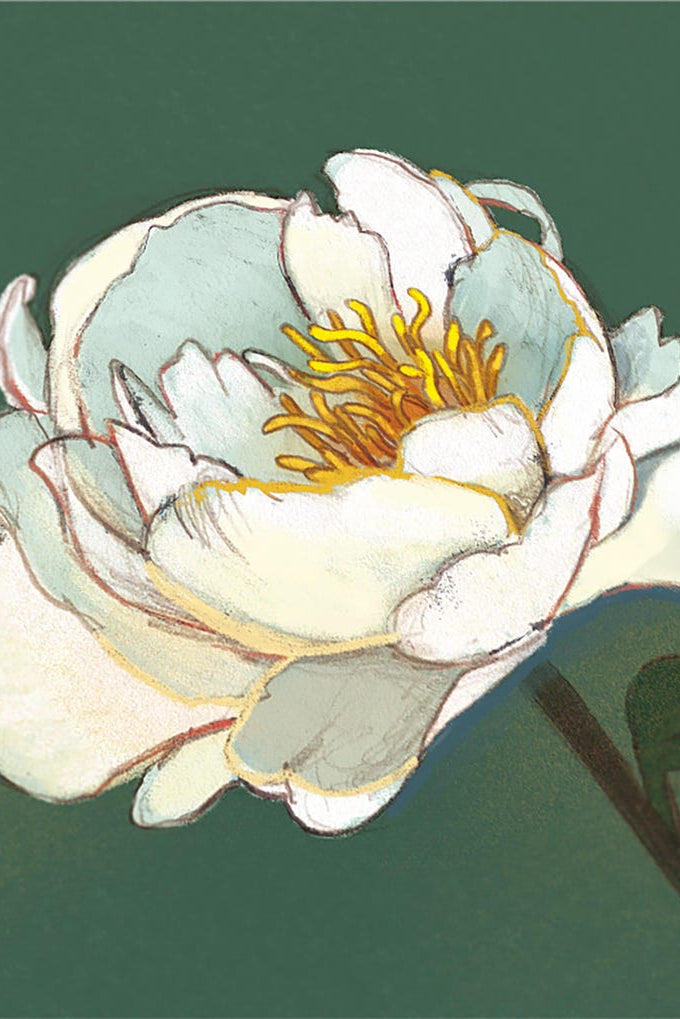 VALERIE BOIVIN Carte de Souhait - Pivoine blanche et main